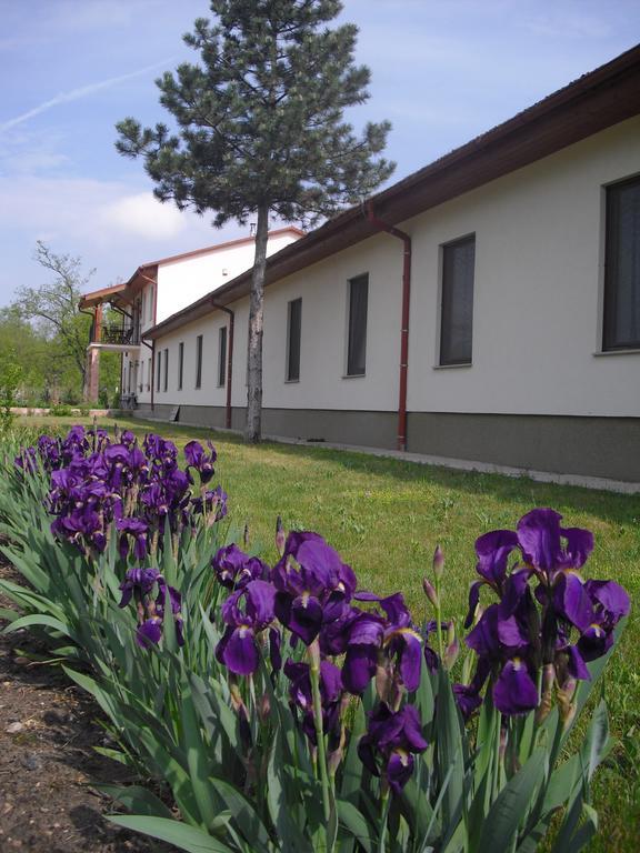 Anna Panzio Hotel Dunavarsany ภายนอก รูปภาพ