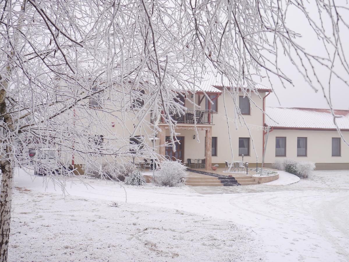 Anna Panzio Hotel Dunavarsany ภายนอก รูปภาพ